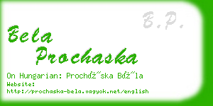 bela prochaska business card